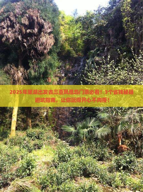 巢湖去三亚凤凰岛门票