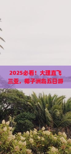 大理去三亚椰子洲岛五日游
