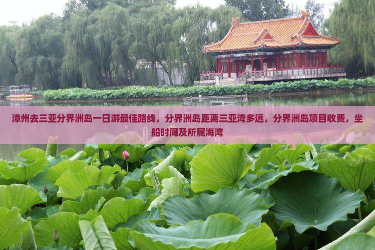 漳州去三亚分界洲岛一日游