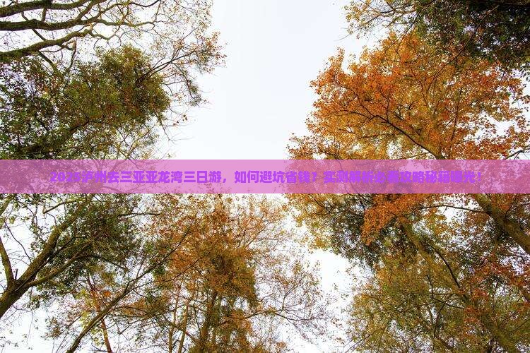 泸州去三亚亚龙湾三日游