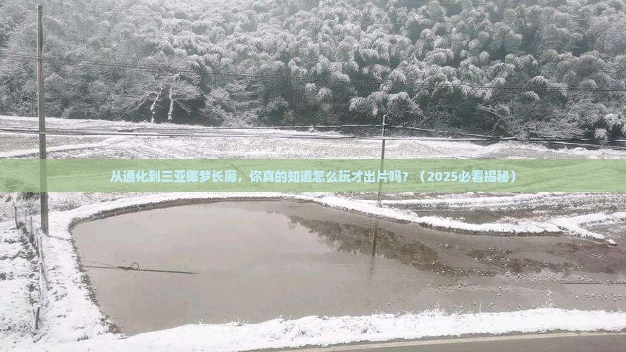 通化前往三亚椰梦长廊旅游网红地点
