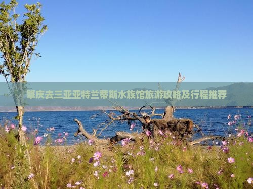 肇庆去三亚亚特兰蒂斯水族馆旅游