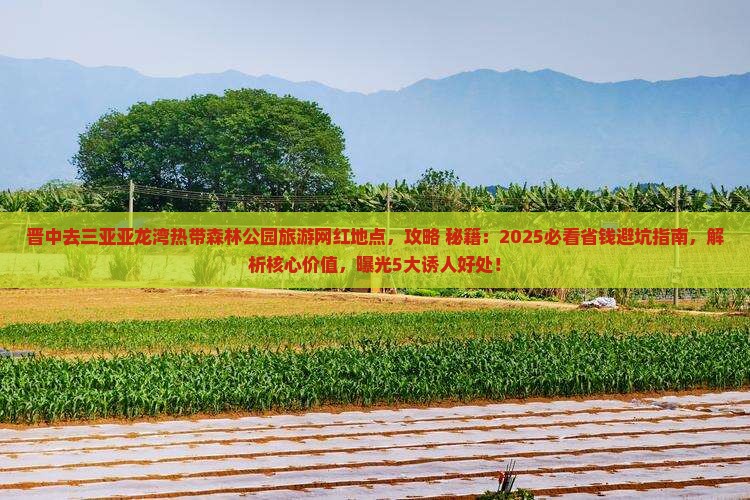 晋中去三亚亚龙湾热带森林公园旅游网红地点