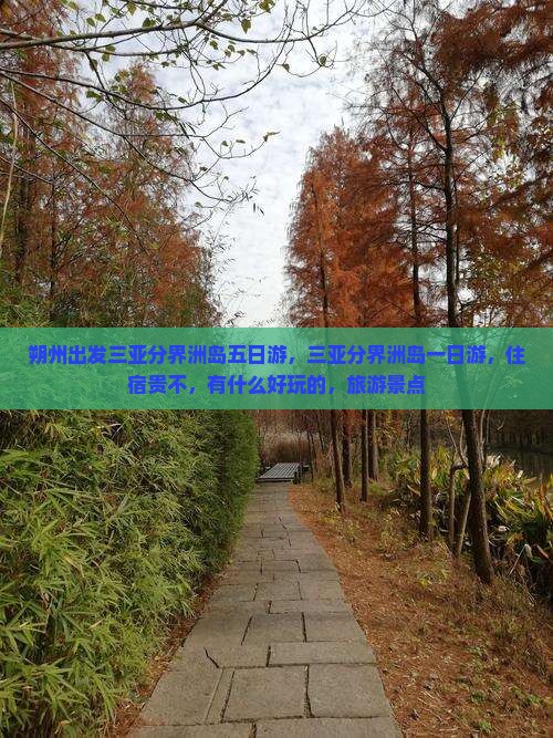 朔州出发三亚分界洲岛五日游