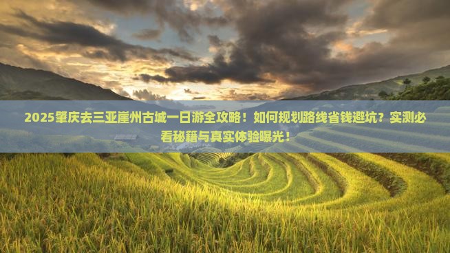 肇庆去三亚崖洲古城一日游