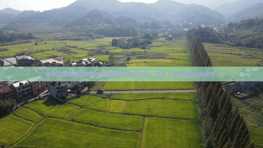 葫芦岛出发三亚凤凰岭公园四日游