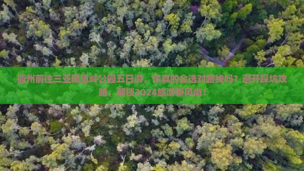 衢州前往三亚凤凰岭公园五日游