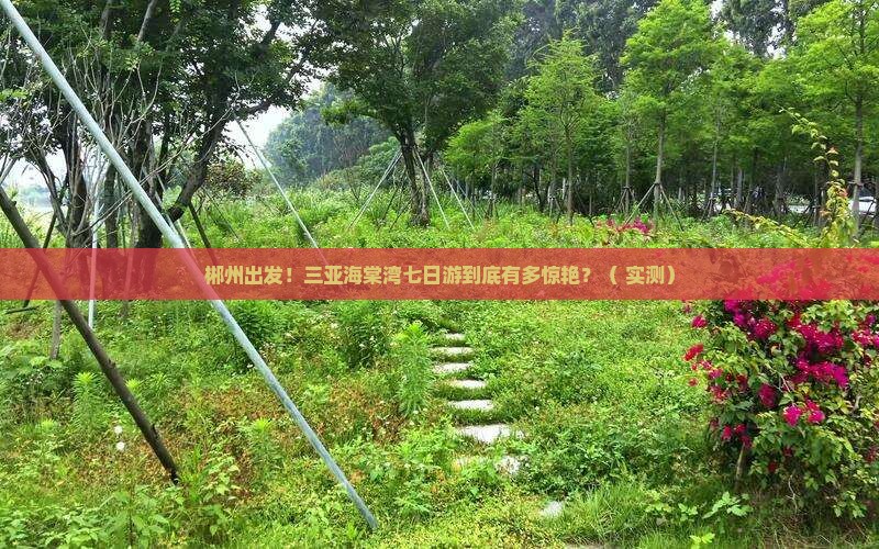 郴州前往三亚海棠湾七日游