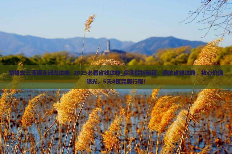 楚雄去三亚蜈支洲岛攻略