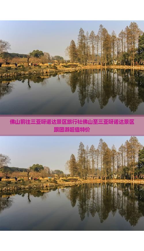 佛山前往三亚呀诺达景区旅行社