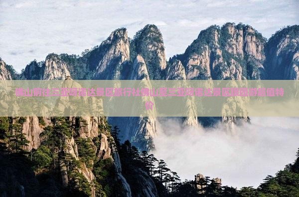 佛山前往三亚呀诺达景区旅行社