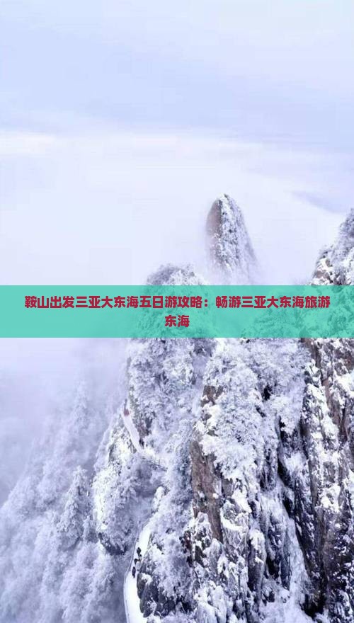 鞍山出发三亚大东海五日游