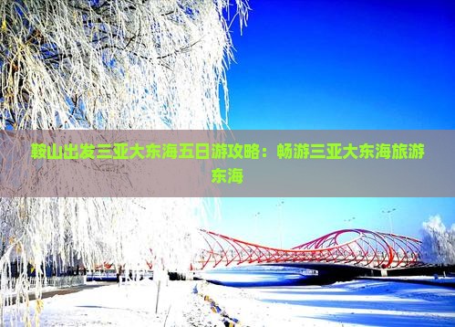 鞍山出发三亚大东海五日游
