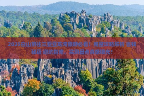 白山前往三亚亚龙湾旅游