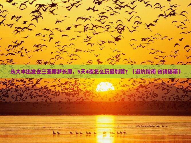 大丰出发三亚椰梦长廊攻略