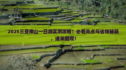 日照去三亚南山文化旅游区一日游