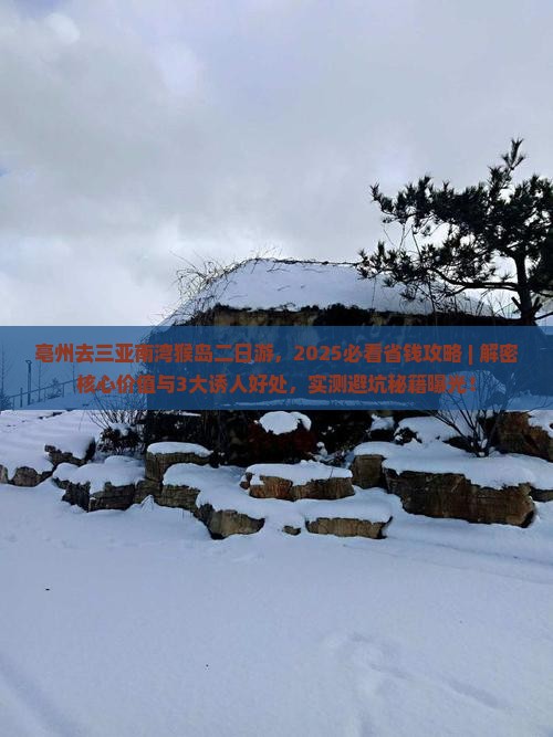 亳州去三亚南湾猴岛二日游