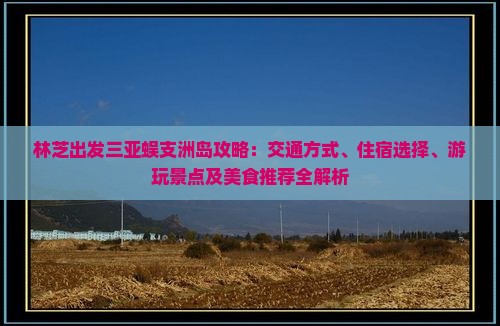 林芝出发三亚蜈支洲岛攻略