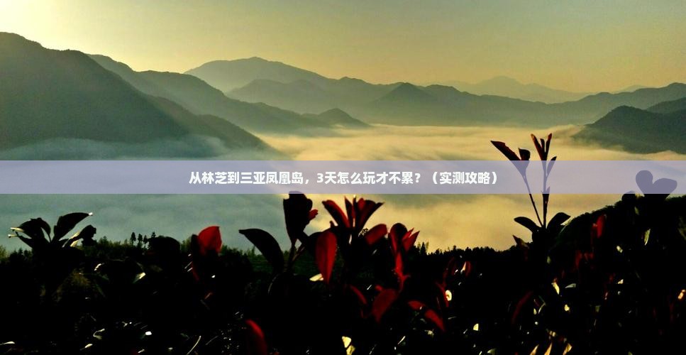 林芝去三亚凤凰岛旅游