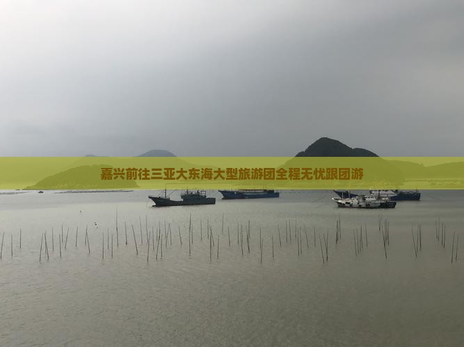 嘉兴前往三亚大东海大型旅游团