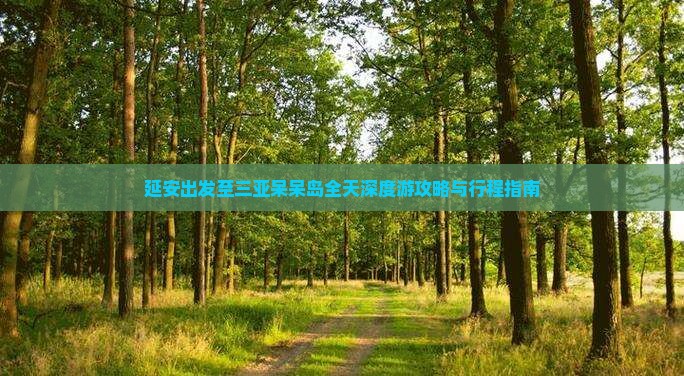延安出发至三亚呆呆岛全天深度游攻略与行程指南