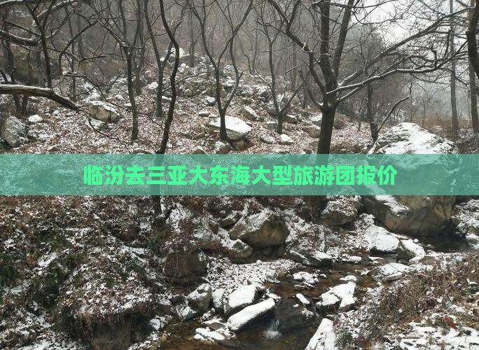 临汾去三亚大东海大型旅游团报价