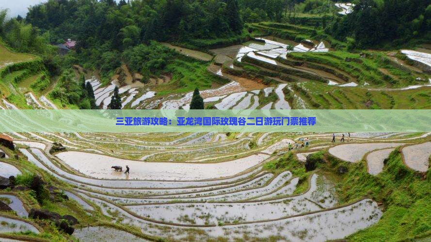 三亚旅游攻略：亚龙湾国际玫瑰谷二日游玩门票推荐