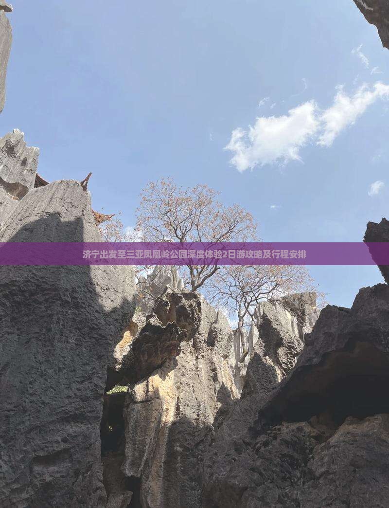 济宁出发至三亚凤凰岭公园深度体验2日游攻略及行程安排