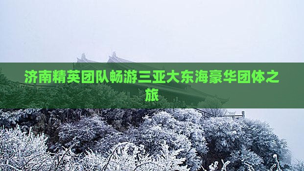 济南精英团队畅游三亚大东海豪华团体之旅