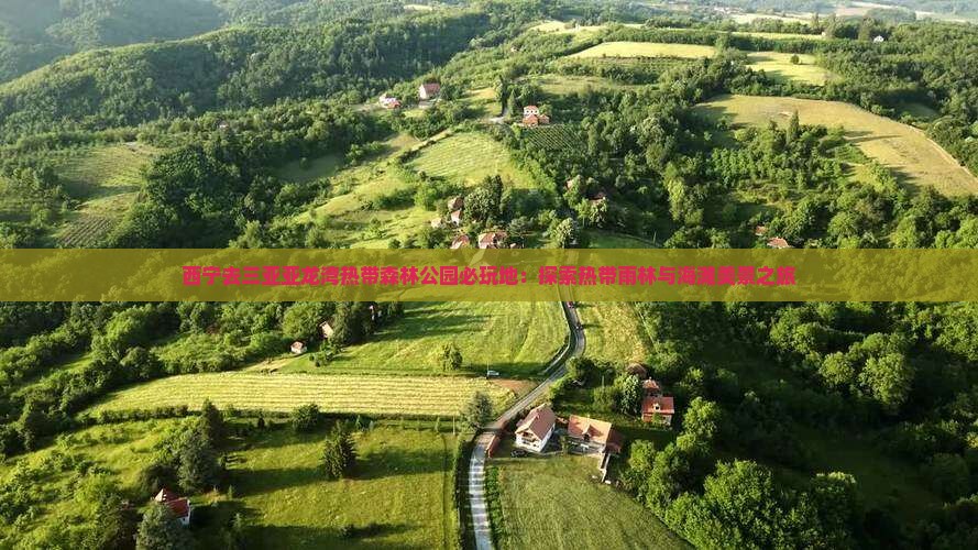 西宁去三亚亚龙湾热带森林公园必玩地：探索热带雨林与海滩美景之旅