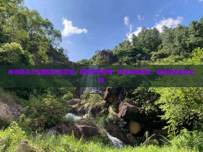 株洲前往三亚鹿回头四日游：探索热带风情，体验海岛美景，品尝地道美食之旅