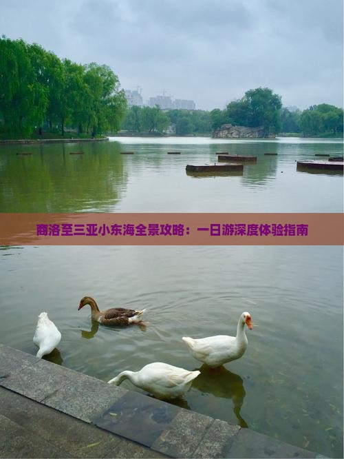 商洛至三亚小东海全景攻略：一日游深度体验指南