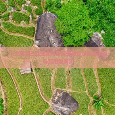 《大理至三亚亚龙湾国际玫瑰谷深度游攻略与实用指南》