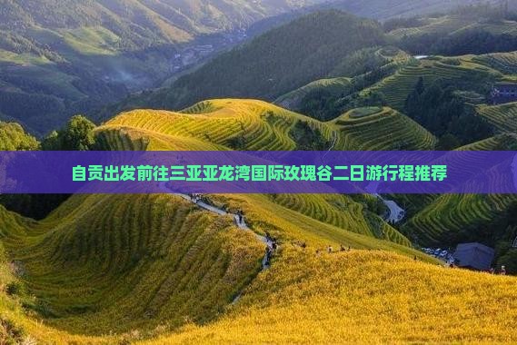自贡出发前往三亚亚龙湾国际玫瑰谷二日游行程推荐