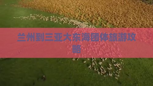 兰州到三亚大东海团体旅游攻略