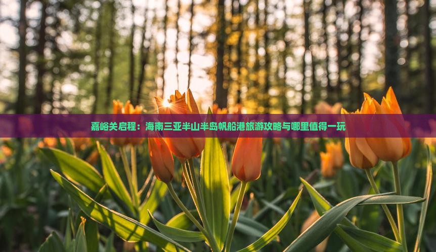 嘉峪关启程：海南三亚半山半岛帆船港旅游攻略与哪里值得一玩