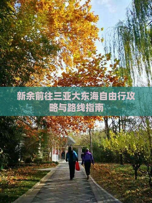 新余前往三亚大东海自由行攻略与路线指南
