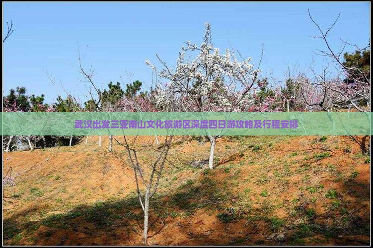 武汉出发三亚南山文化旅游区深度四日游攻略及行程安排