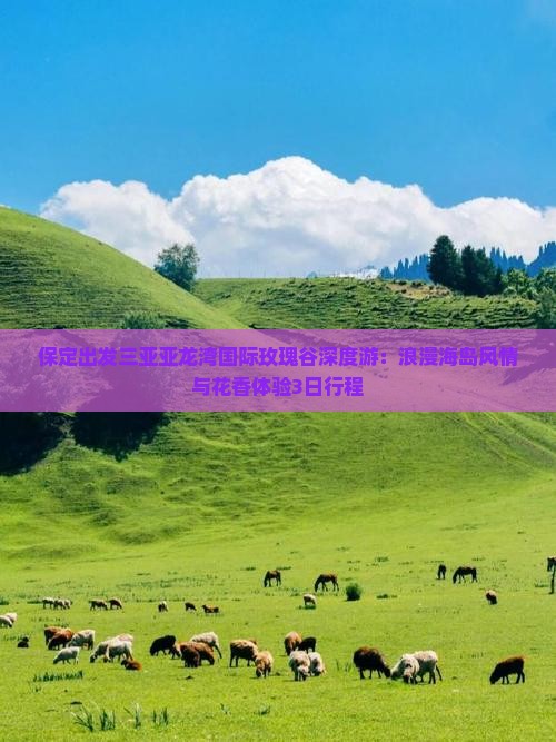 保定出发三亚亚龙湾国际玫瑰谷深度游：浪漫海岛风情与花香体验3日行程