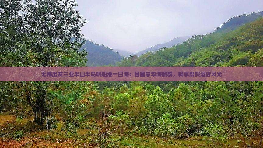 无锡出发三亚半山半岛帆船港一日游：目睹豪华游艇群，畅享度假酒店风光