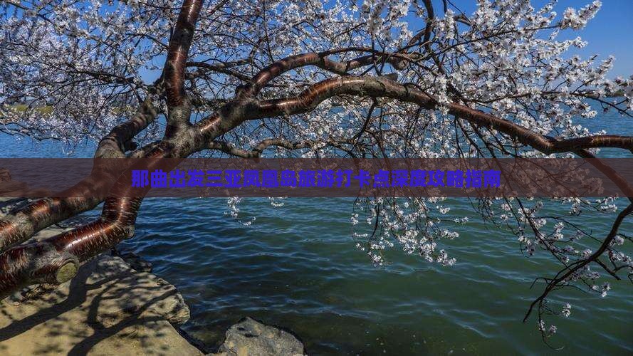 那曲出发三亚凤凰岛旅游打卡点深度攻略指南