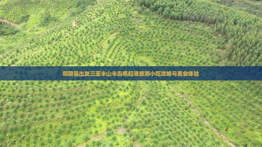 鄢陵县出发三亚半山半岛帆船港旅游小吃攻略与美食体验