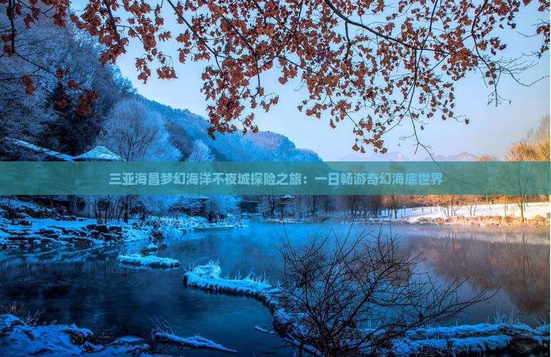 三亚海昌梦幻海洋不夜城探险之旅：一日畅游奇幻海底世界