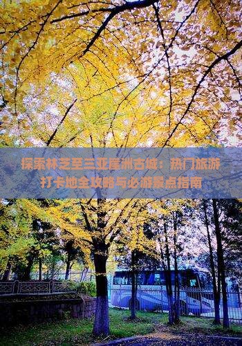 探索林芝至三亚崖洲古城：热门旅游打卡地全攻略与必游景点指南