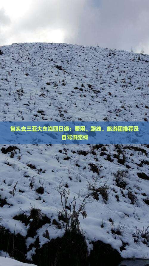 包头去三亚大东海四日游：费用、路线、旅游团推荐及自驾游路线