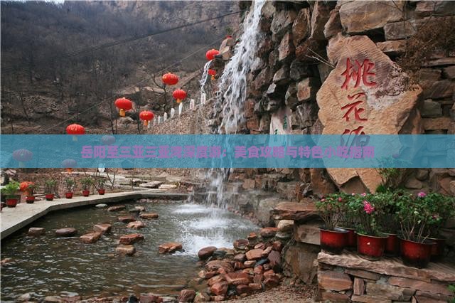 岳阳至三亚三亚湾深度游：美食攻略与特色小吃指南