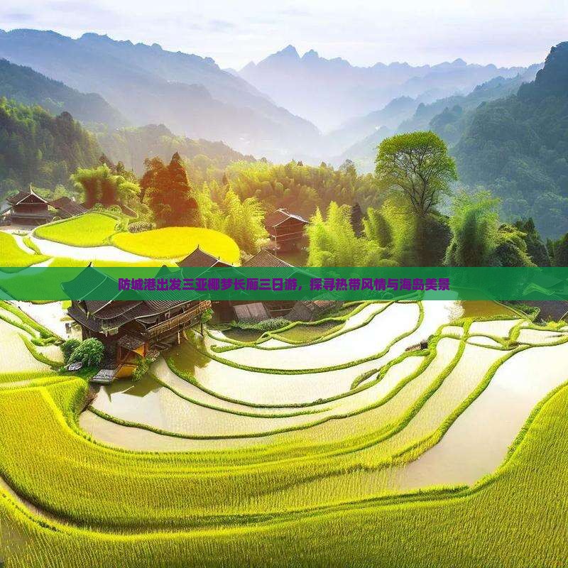 防城港出发三亚椰梦长廊三日游，探寻热带风情与海岛美景