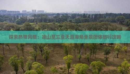 探索热带风情：凉山至三亚天涯海角全景团体旅行攻略