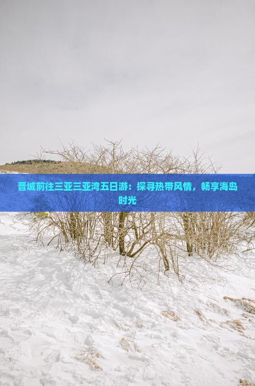 晋城前往三亚三亚湾五日游：探寻热带风情，畅享海岛时光