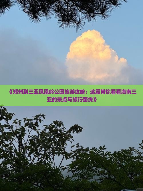 《郑州到三亚凤凰岭公园旅游攻略：这篇带你看看海南三亚的景点与旅行路线》